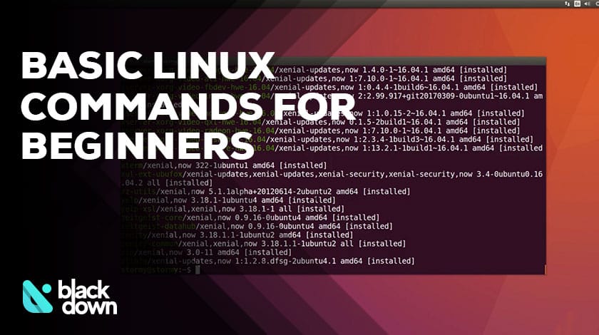 Basic Linux Commands Every Beginner Should Know