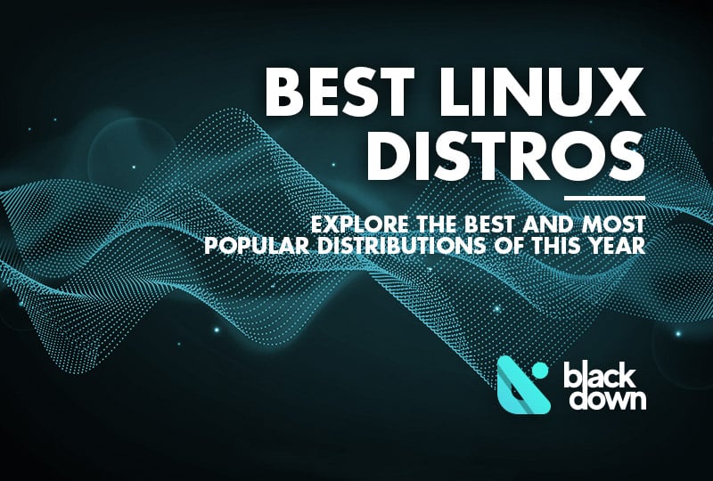 The Best Linux Distros Available on the Market as of 2025