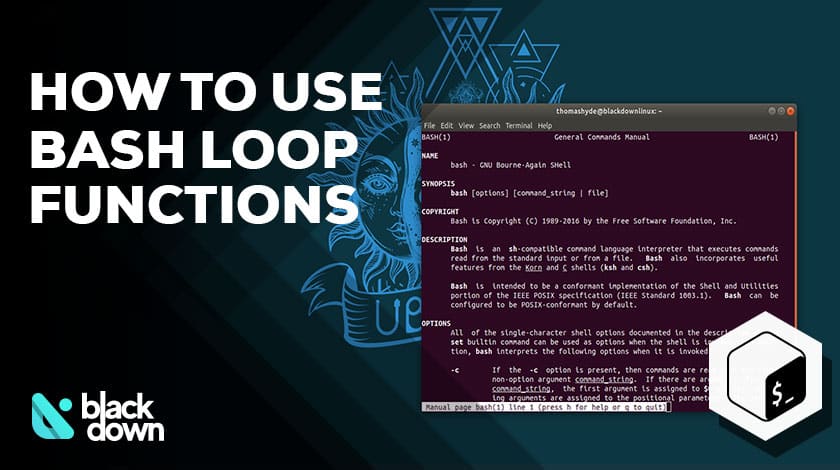 A Detailed Guide on the Bash for Loop Functions and Commands