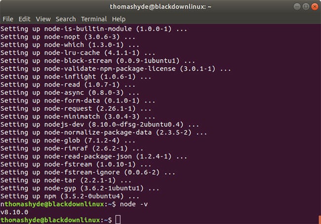 verify nodejs version
