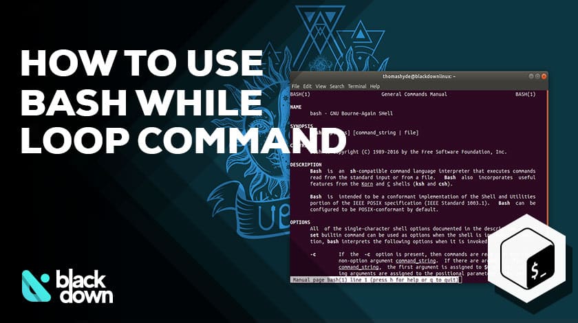 How to Use Bash While Loop Command