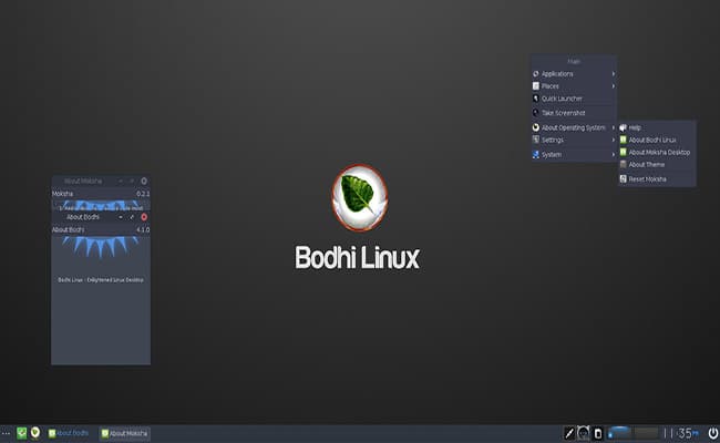 Bodhi Linux