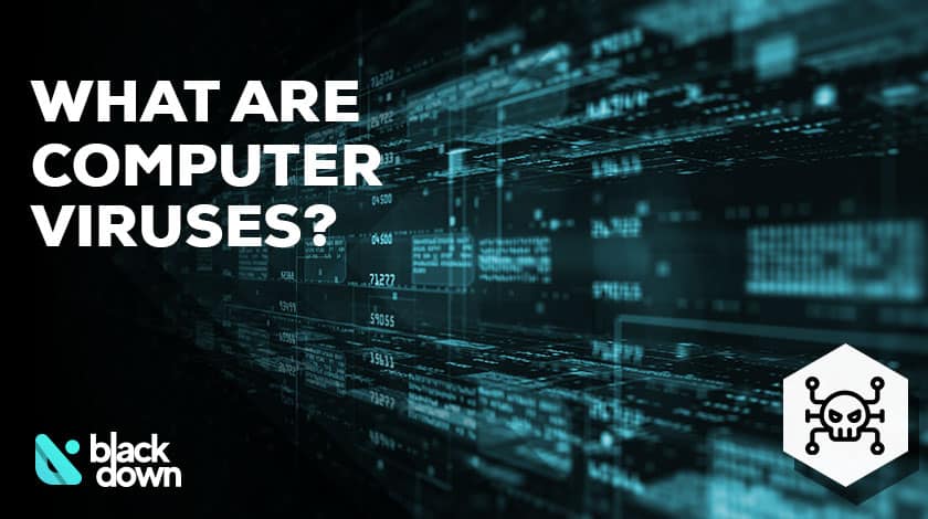What is a Computer Virus?
