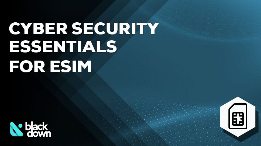 Cyber Security Essentials for e-Sims 