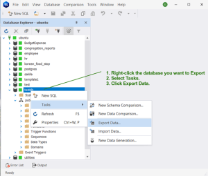 How to Export and Import Data in PostgreSQL: A Detailed Guide - Blackdown