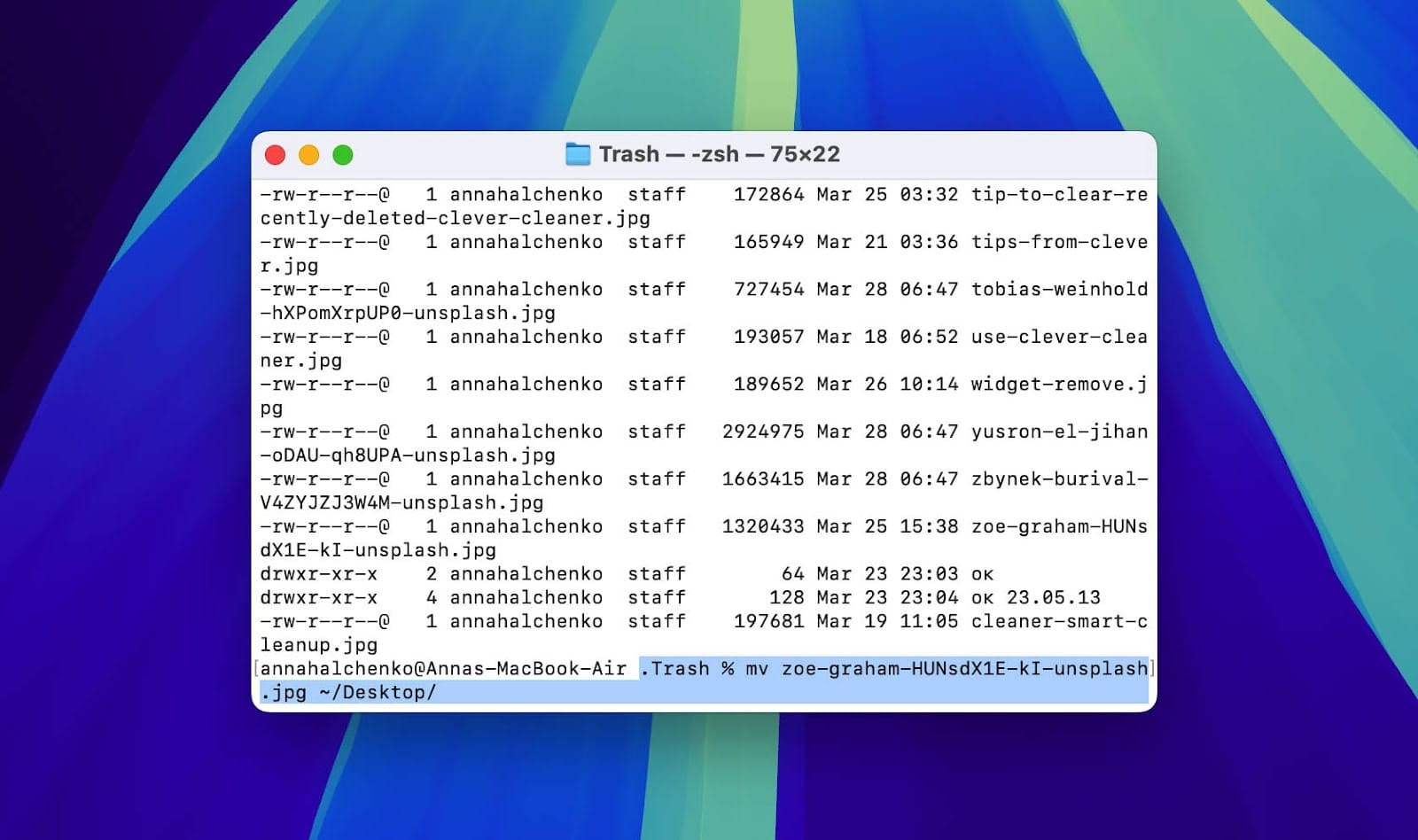 How to Recover Deleted Files from Mac Using Terminal - Blackdown