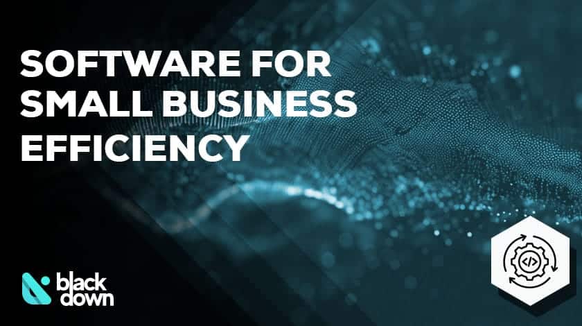 The Role of Software in Boosting Small Business Efficiency and Client Satisfaction