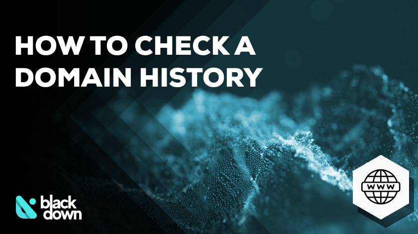 How to Check a Domain’s History Before You Buy